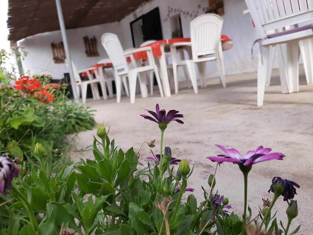 Pensjonat Es Barranco Ferreries Zewnętrze zdjęcie